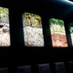 canova_masi_2018-05 (7)