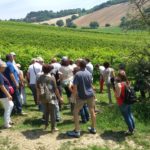 11 MORODER - VIGNETI
