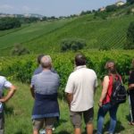 15 MORODER - VIGNETI
