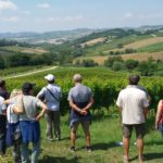 16 MORODER - VIGNETI