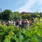 20 MORODER - VIGNETI
