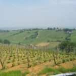 4 CA' DEL GE' - VIGNETO