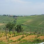 5 CA' DEL GE' - VIGNETO