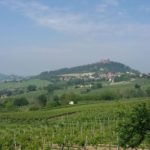 6 CA' DEL GE' - VIGNETO
