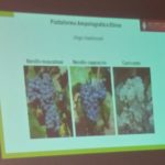 1 serata 2018 - 03