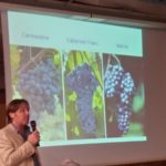 1 serata 2018 Colli Berici - 04