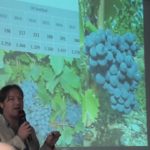 1 serata 2018 Colli Berici - 13