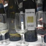 4 serata 2018 - oltrepo pavese - 08