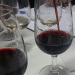4 serata 2018 - oltrepo pavese - 11