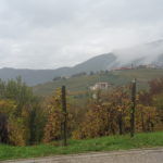 canevel 2018-11 02 CANEVEL VIGNETO
