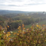 canevel 2018-11 20 CANEVEL VIGNETI