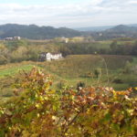 canevel 2018-11 21 CANEVEL VIGNETI