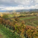 canevel 2018-11 23 CANEVEL VIGNETI