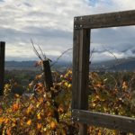 canevel 2018-11 27 CANEVEL VIGNETI