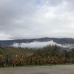 canevel 2018-11 28 CANEVEL VIGNETI