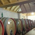 FASOLI 2 CANTINA 6