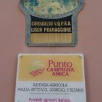 01 PIAZZA - L'AZIENDA