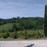 08 RONCAL - VIGNETI