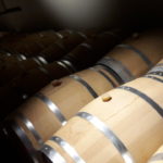 09 COTTINI - CANTINA