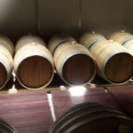 10 COTTINI - CANTINA