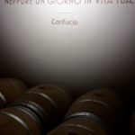 11 COTTINI - CANTINA