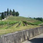 11 RUSSIZ - VIGNETI