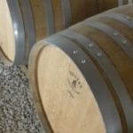 12 COTTINI - CANTINA