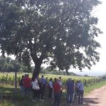 13 CASTELVECCHIO - VIGNETI