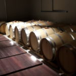 13 COTTINI - CANTINA