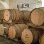 15 RUSSIZ - CANTINA