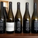20 COTTINI - VINI IN DEGUSTAZIONE