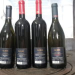 25 RUSSIZ - VINI IN DEGUSTAZIONE