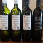 29 RONCAL - VINI IN DEGUSTAZIONE