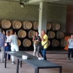 11 collina ciliegi - degustazione barricaia