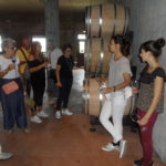 12 collina ciliegi - degustazione barricaia