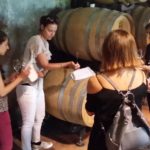 14 collina ciliegi - degustazione barricaia