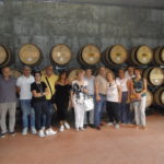 21 collina ciliegi - barricaia
