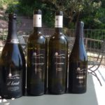38 collina ciliegi - I VINI