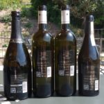 39 colllina ciliegi - I VINI