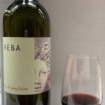 11 - MAREMMA - I VINI