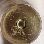 18 - GAMBELLARA - I VINI