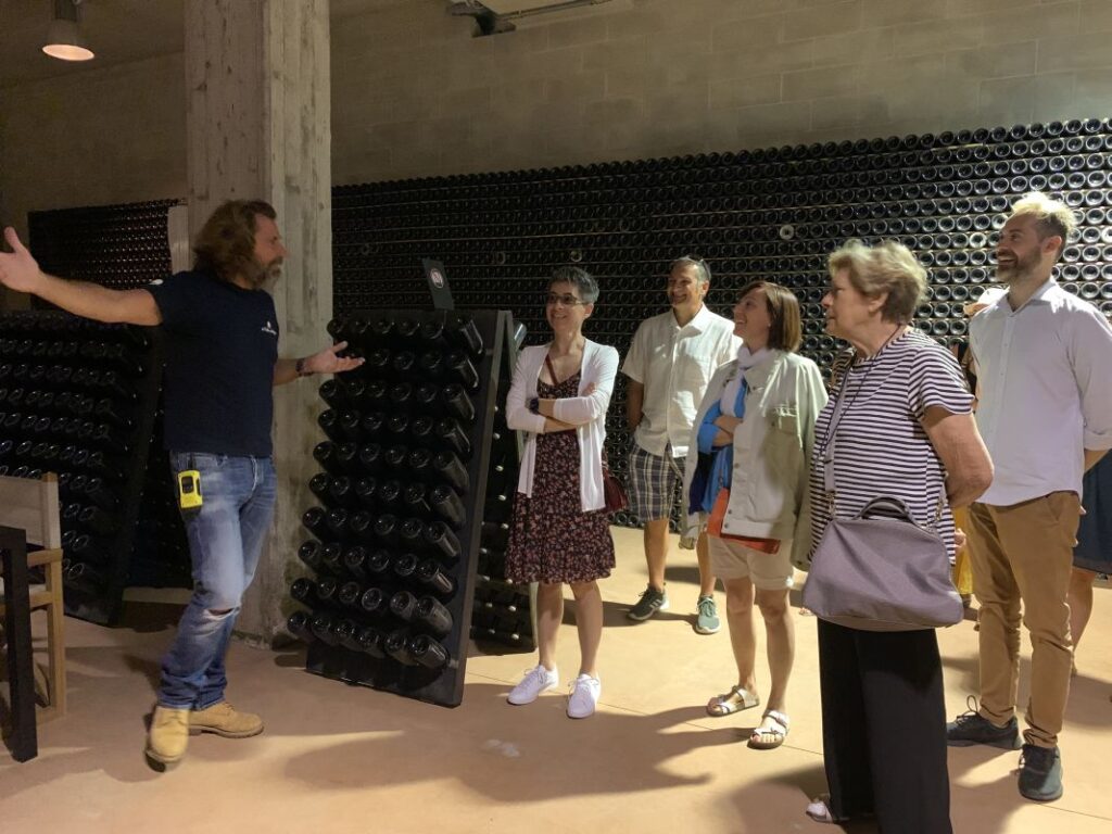 Collina Ciliegi - 4 Barricaia 2