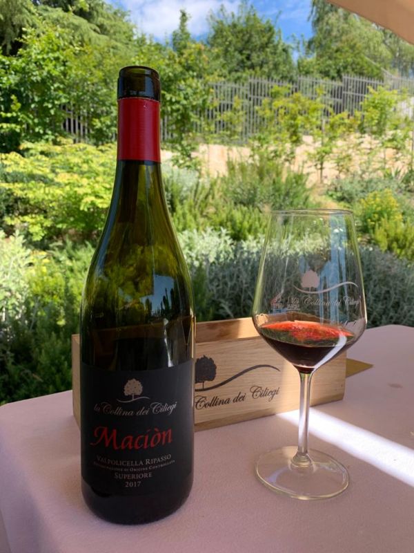 Collina Ciliegi - 5 VIni 3
