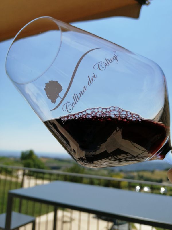 Collina Ciliegi - 5 Vini 1