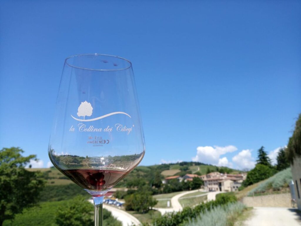 Collina Ciliegi - 5 Vini 2