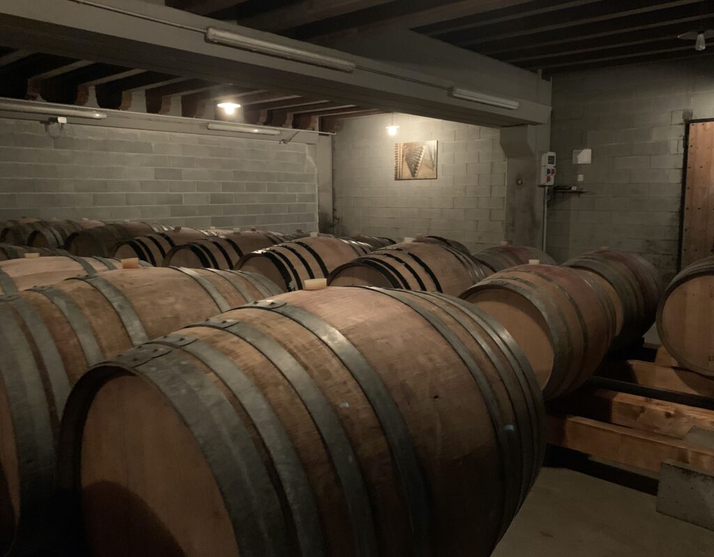 COSTARIPA - 07 CANTINA