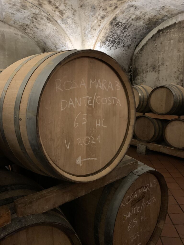 COSTARIPA - 10 CANTINA