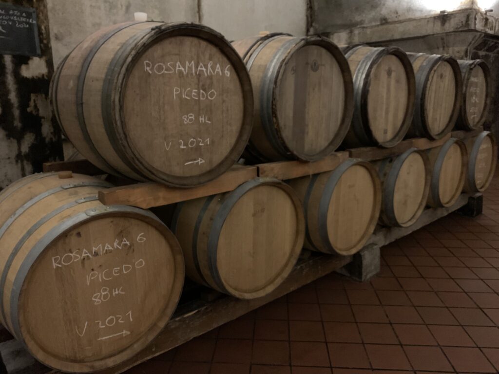 COSTARIPA - 11 CANTINA