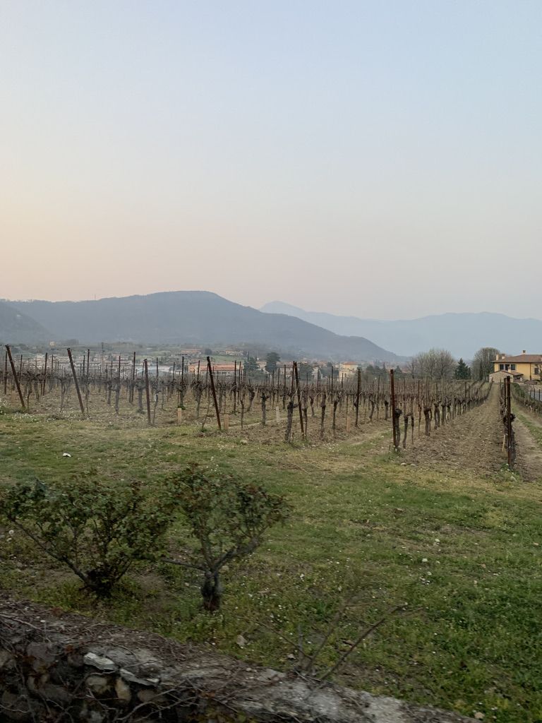 001 BELLAVISTA - LA FRANCIACORTA
