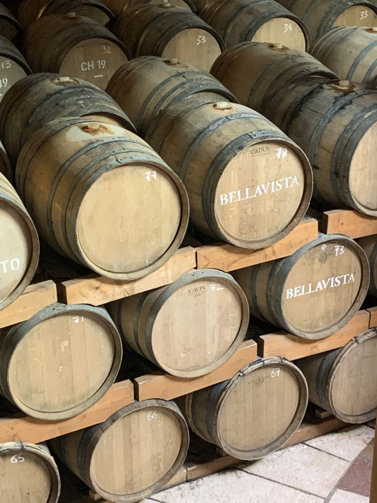 08 BELLAVISTA - CANTINA